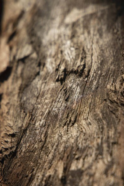 serie-bois-naturel